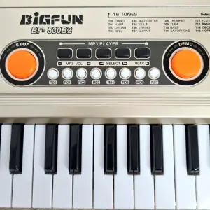 Organeta Piano Electrónico Para Niños 49