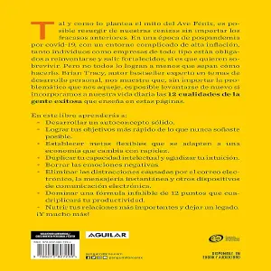 LIBRO - EL PLAN FENIX BRYAN TRACY