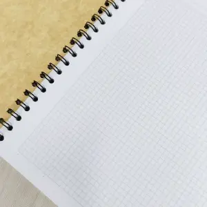 Cuadernos X3 Argollado Grande Cuadros