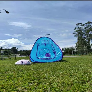 Carpa Para Niños Con Peluche