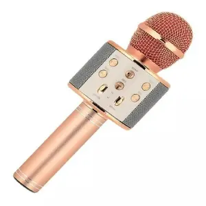 Micrófono Karaoke Bluetooth Con Parlante