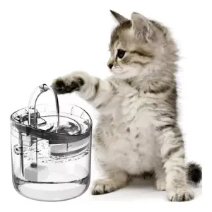 Fuente De Agua Para Mascotas
