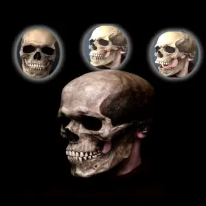 Mascara Calavera Mandibula Movimiento