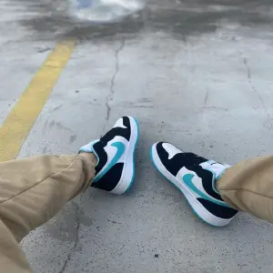 nike dunk