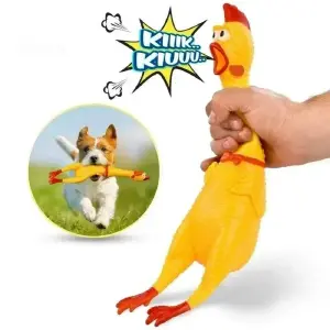 Pollo Chillon Para Mascota Mediano