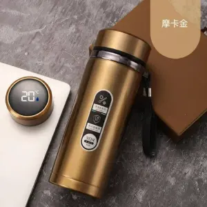 Termos Led Digital inteligente