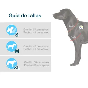 Disfraz Mariquita Perro Gato GD01M2