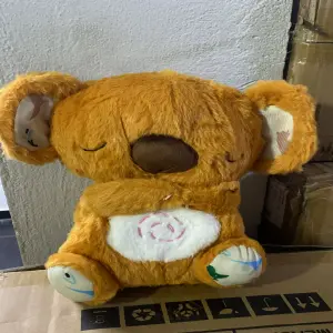 koala dorado