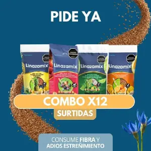 LINAZAMIX SABORES 450GR X 12