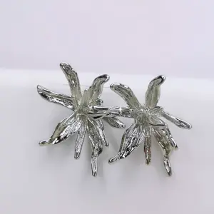 ARETA PLATEADA ALGA