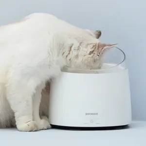 Fuente De Agua Para Gatos Y Perros Bebe