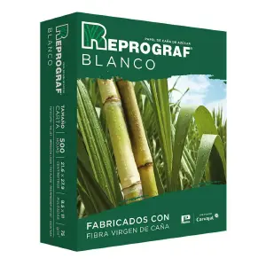 Resma Papel Blanco Tamaño Carta 75Gr