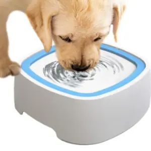 Cuenco de agua flotante para perro y gat