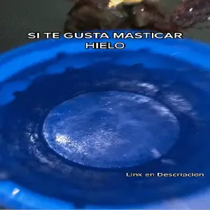 Hielera siliconada molde hielo FK23D-101