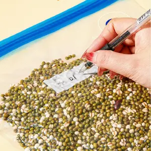 BOLSA COMPRESION PARA ALIMENTOS: Conserva la Frescura y Ahorra Espacio - BOLSA COMPRESION PARA ALIMENTOS