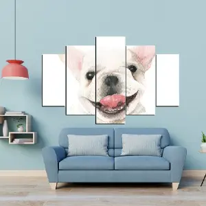 PERRO 65