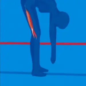 FLEXSTRAP: El Soporte Perfecto para Tus Necesidades - FLEXSTRAP