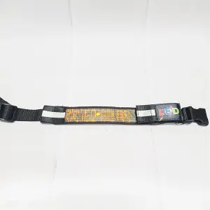 Correa LED para Perro
