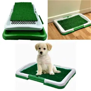 Tapete Entrenamiento Pequeño