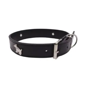 COLLAR PARA MASCOTAS