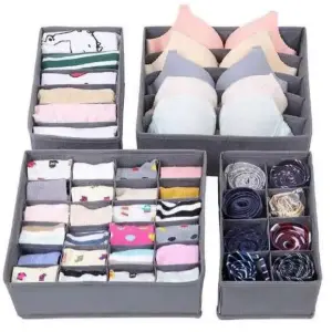 Dt Organizador Ropa Interior 4 Pzas