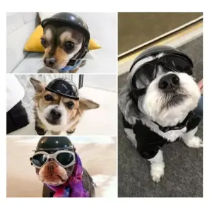 Gafas De Sol A Prueba De Viento Mascotas
