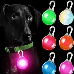 Luz Led para collar de mascotas