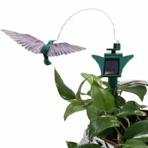 COLIBRI Y MARIPOSA SOLAR