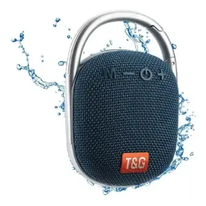 RADIO PARLANTE USB RECARGABLE T&G TG-321