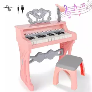 Piano 25 Teclas Instrumento Musical