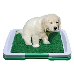 Tapete Para Perro Puppy Potty Pad Baño P