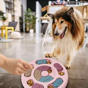 comedor didáctico para mascota