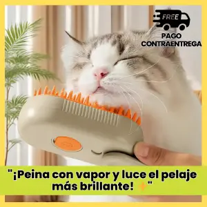 CEP VAP PERR