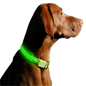 Collar Luz Led Reflectivo mascotas