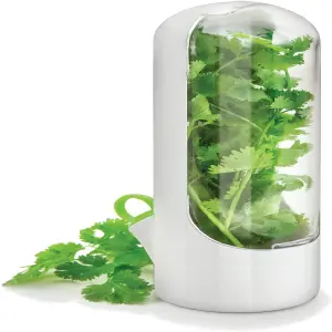 Recipiente para conservación de cilantro