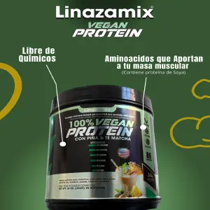 1 PROTEINA VEGANA X900GR