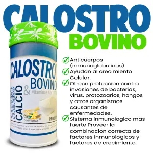 CALOSTRO BOVINO