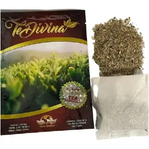 TeDvivina