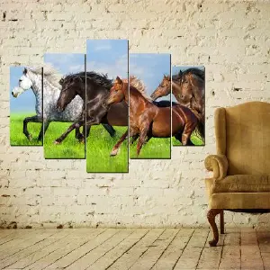 CABALLOS 57