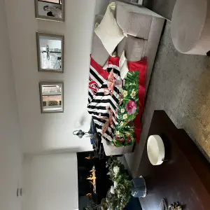 Manta  VS Flamingo Shore