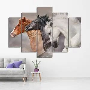 CABALLOS 73