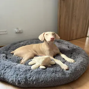 Cama para Mascotas de Talla XL: ¡El Sueño Perfecto para tu Gran Amigo! - Cama dona talla XL para mascotas