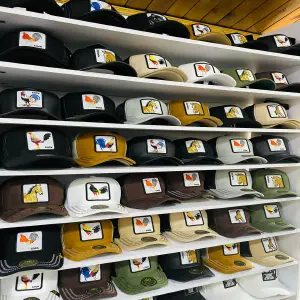 12 gorras cerradas 1.1