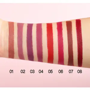 SET DE LABIALES RETRACTILES x8