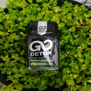 QUEMADOR DE GRASA GO DETOX 30 CAP