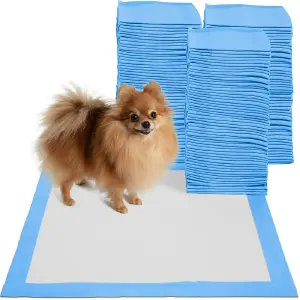 10 tapetes trainings pads perros