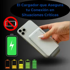 POWER SKIN CHARGER