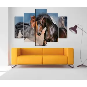CABALLOS 14