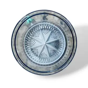 Extractor de Jugo YZJ-001