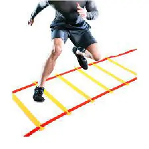 Escalera 5 Mts